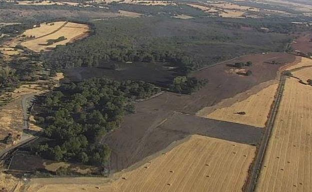 Vista aérea de la superficie afectada por el incendio de Becerril.