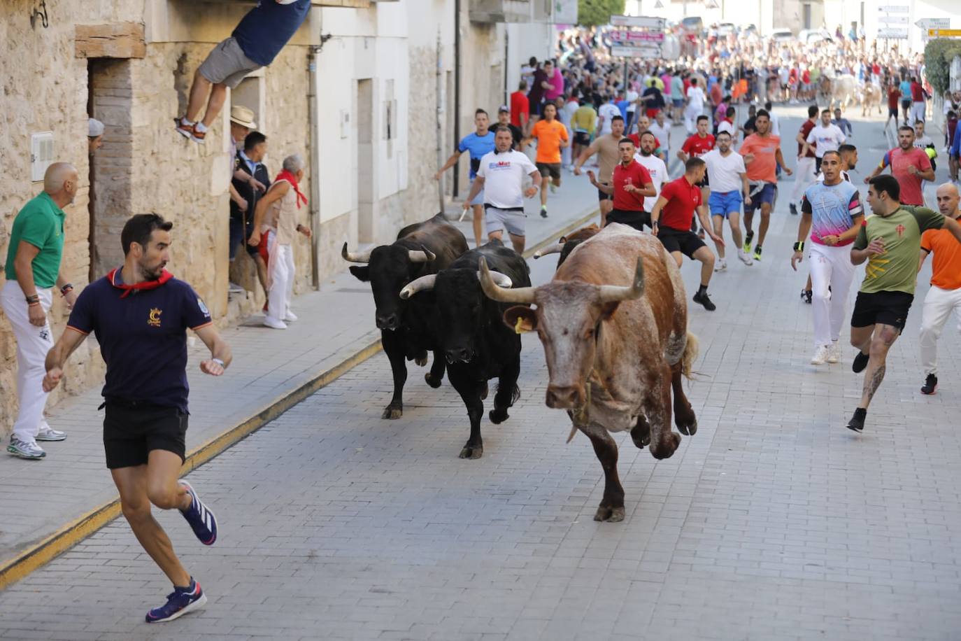 Fotos: El primer encierro de las fiestas de Peñafiel, en imágenes