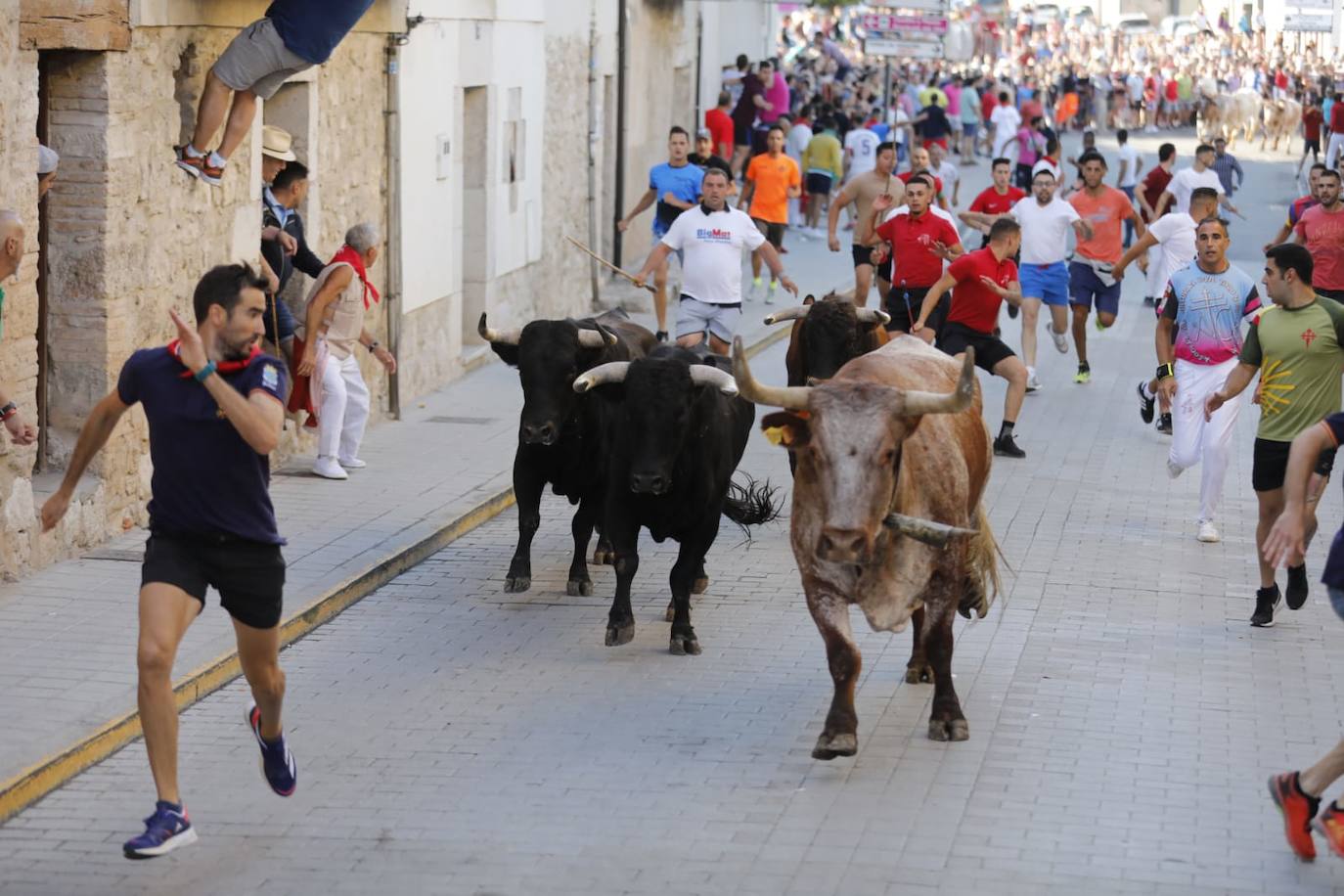 Fotos: El primer encierro de las fiestas de Peñafiel, en imágenes