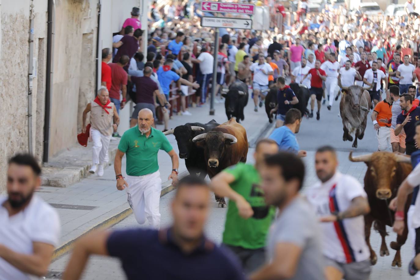 Fotos: El primer encierro de las fiestas de Peñafiel, en imágenes