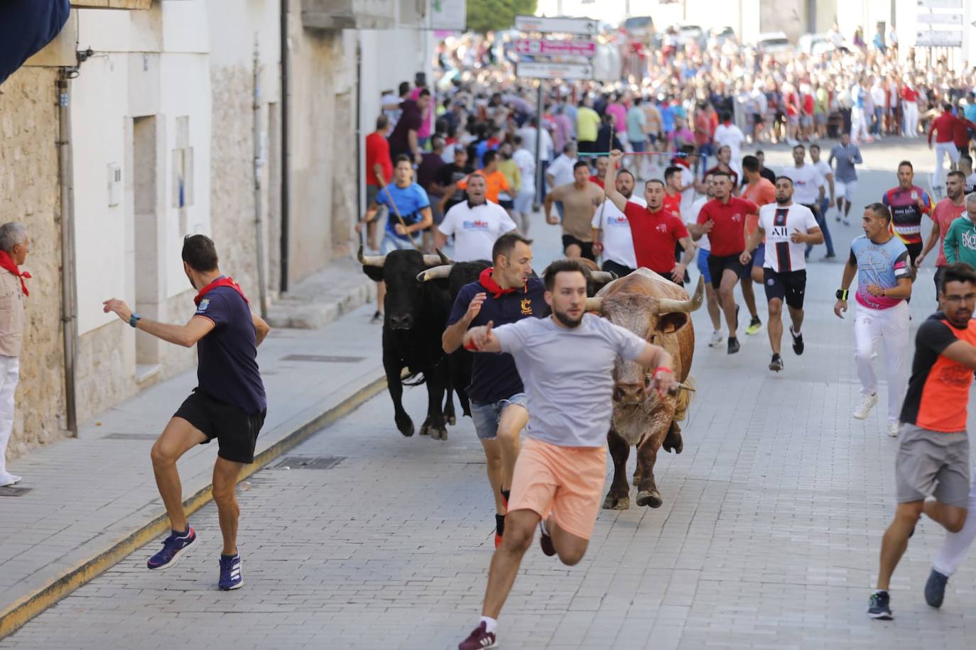 Fotos: El primer encierro de las fiestas de Peñafiel, en imágenes