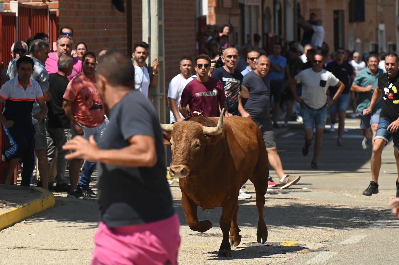 Fotos: El toro del verdejo protagoniza el tercer encierro de las fiestas de Rueda
