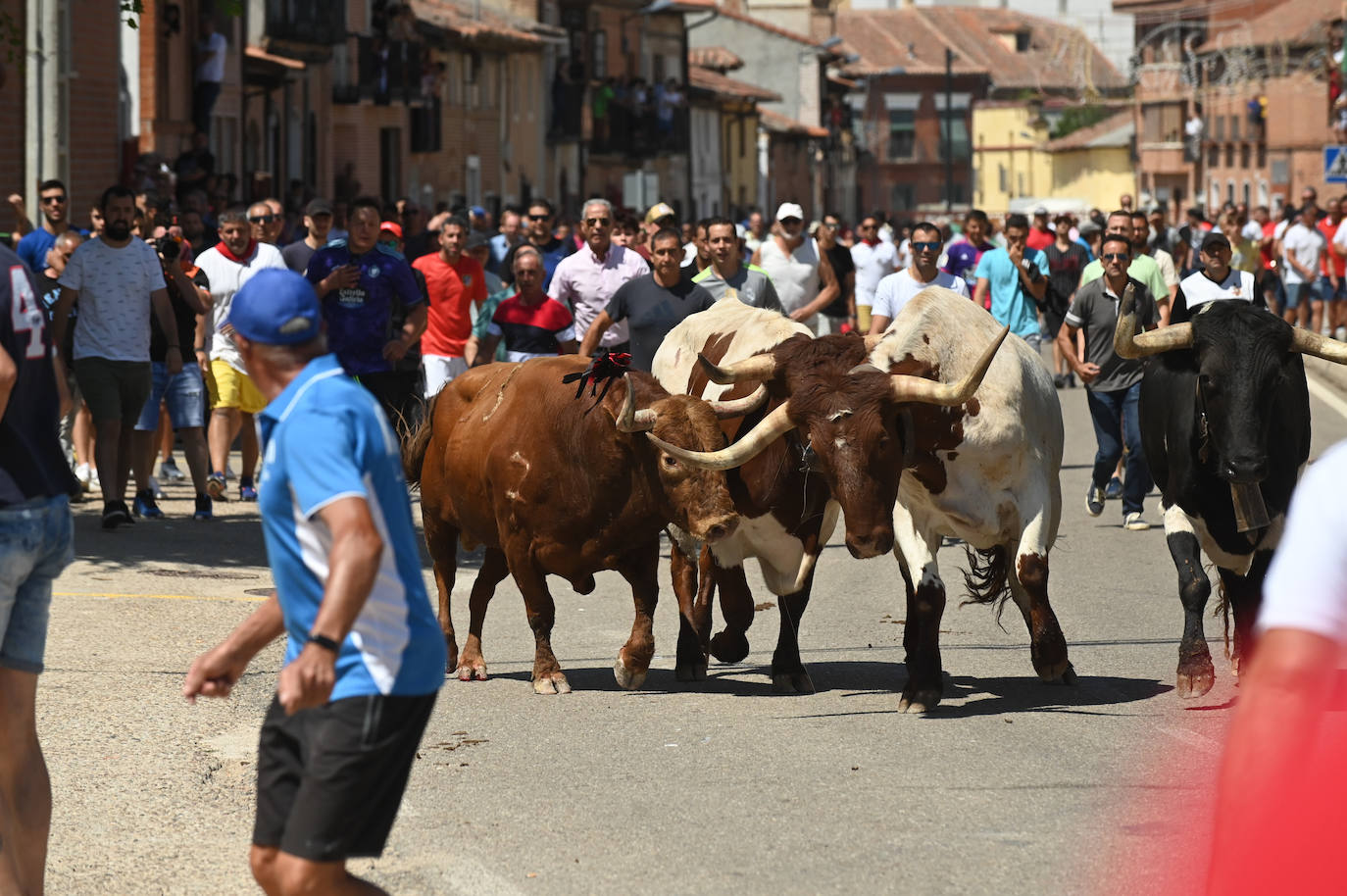 Fotos: El toro del verdejo protagoniza el tercer encierro de las fiestas de Rueda