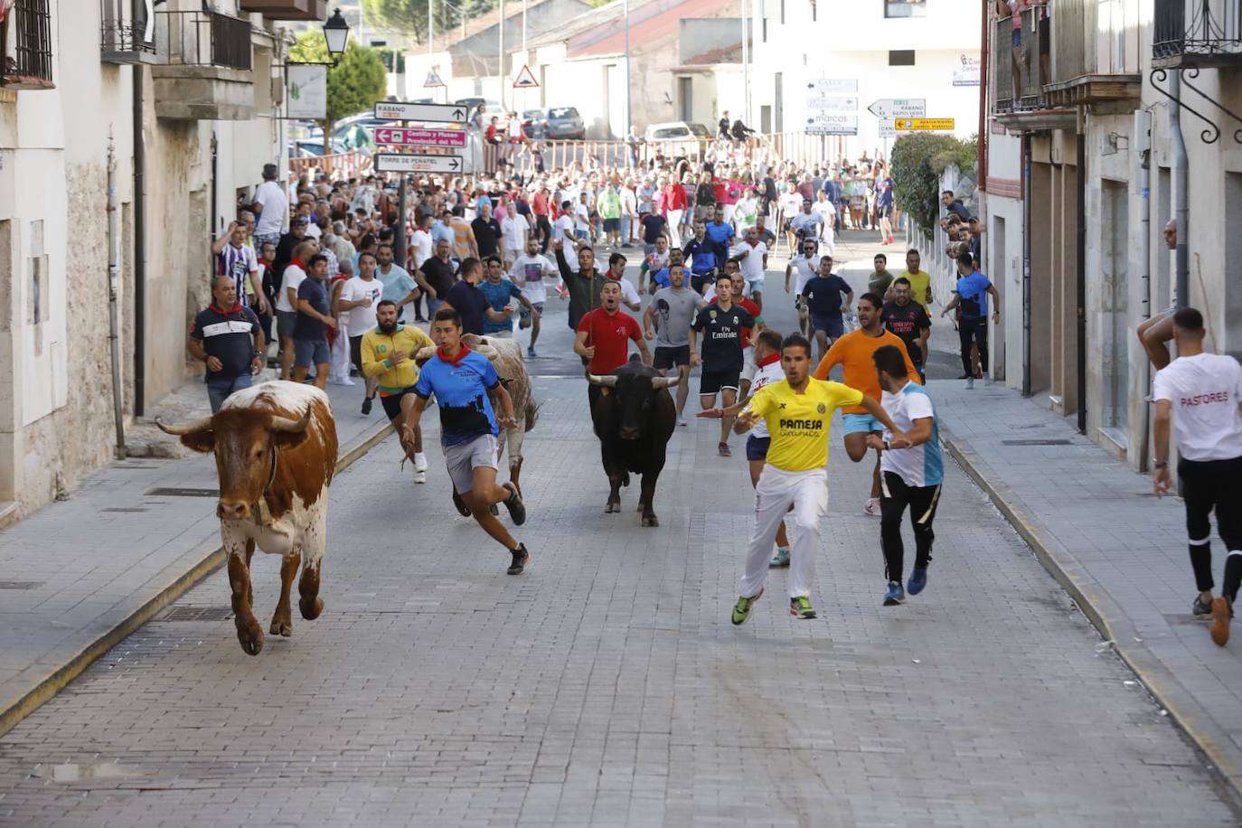 Fotos: Segundo encierro de las fiestas de Peñafiel