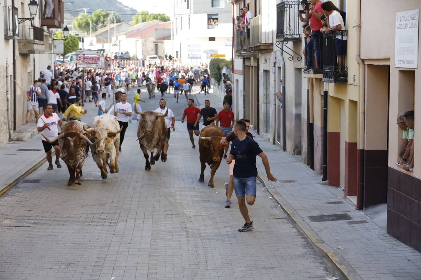 Fotos: Segundo encierro de las fiestas de Peñafiel