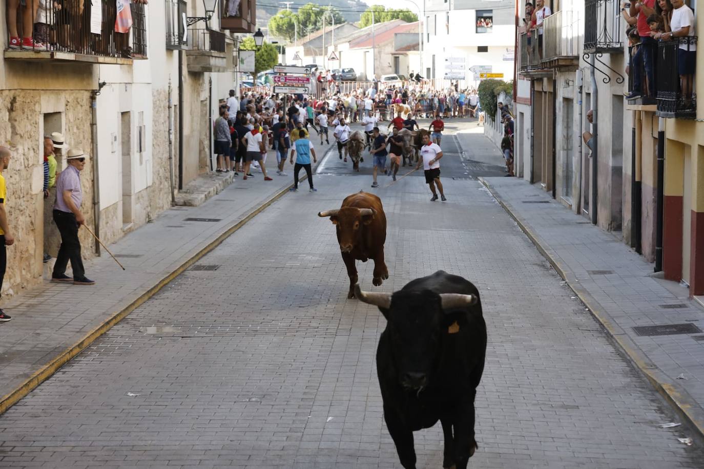Fotos: Segundo encierro de las fiestas de Peñafiel