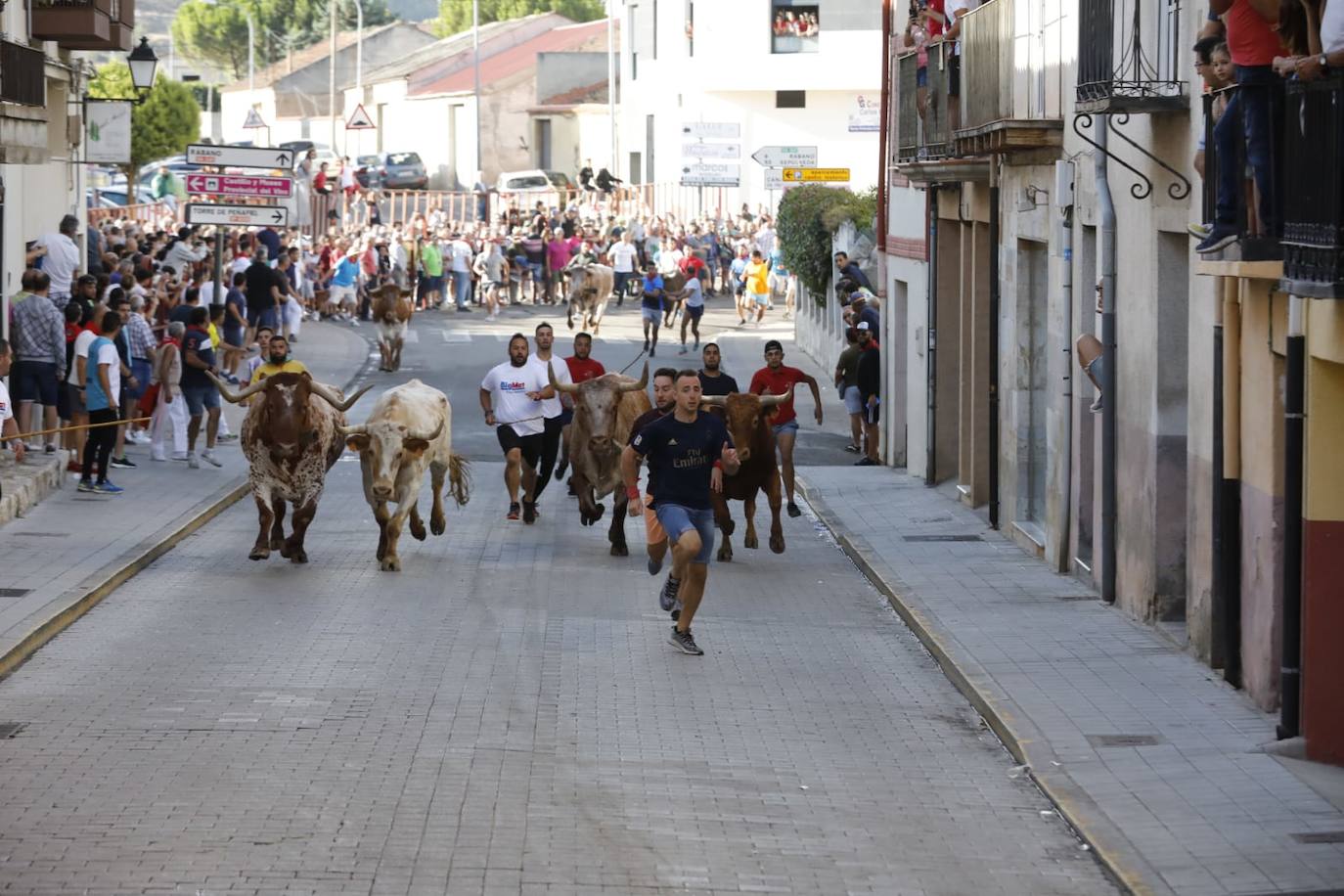Fotos: Segundo encierro de las fiestas de Peñafiel
