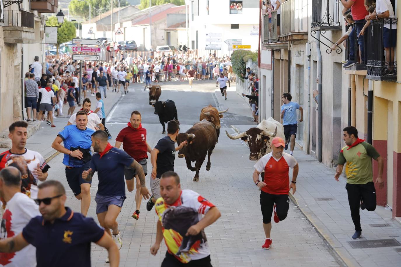 Fotos: Segundo encierro de las fiestas de Peñafiel