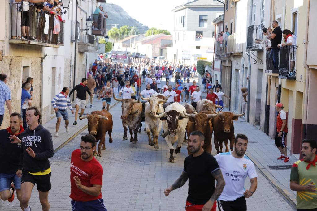 Fotos: El tercer encierro de las fiestas de Peñafiel, en imágenes