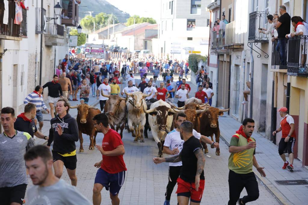 Fotos: El tercer encierro de las fiestas de Peñafiel, en imágenes