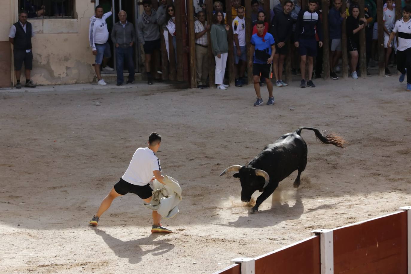 Fotos: Cuarto y último encierro de las fiestas de Peñafiel