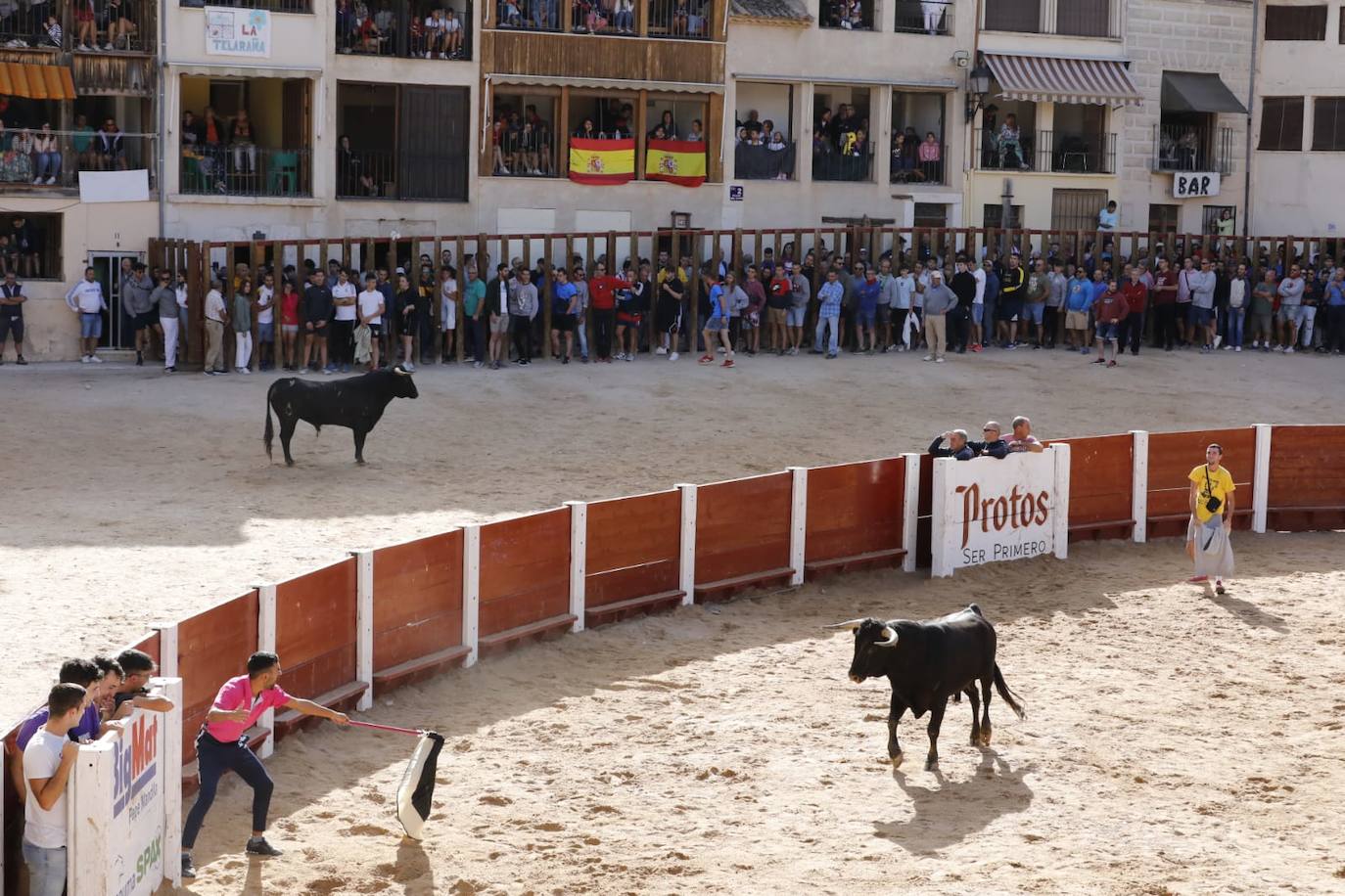 Fotos: Cuarto y último encierro de las fiestas de Peñafiel