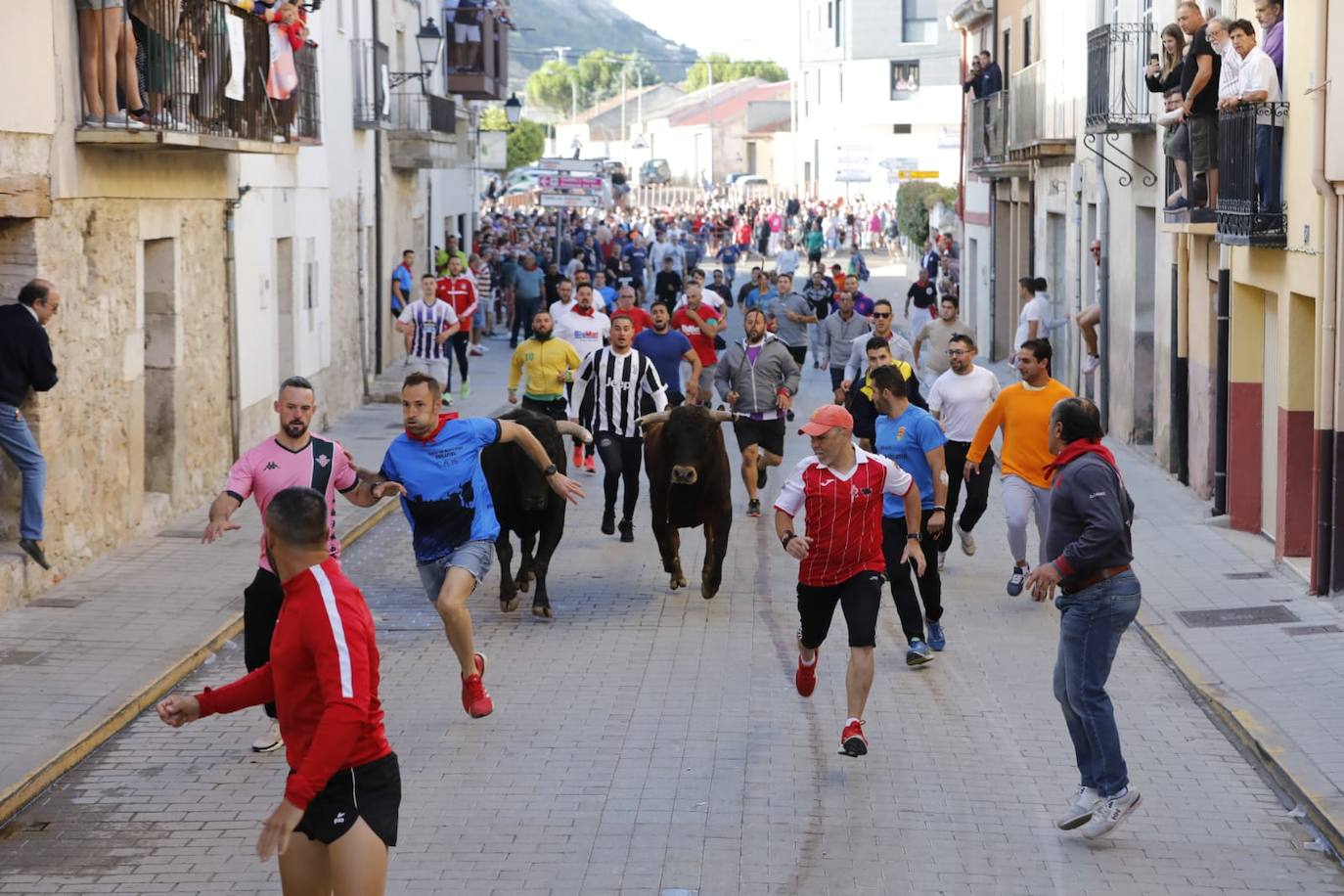 Fotos: Cuarto y último encierro de las fiestas de Peñafiel