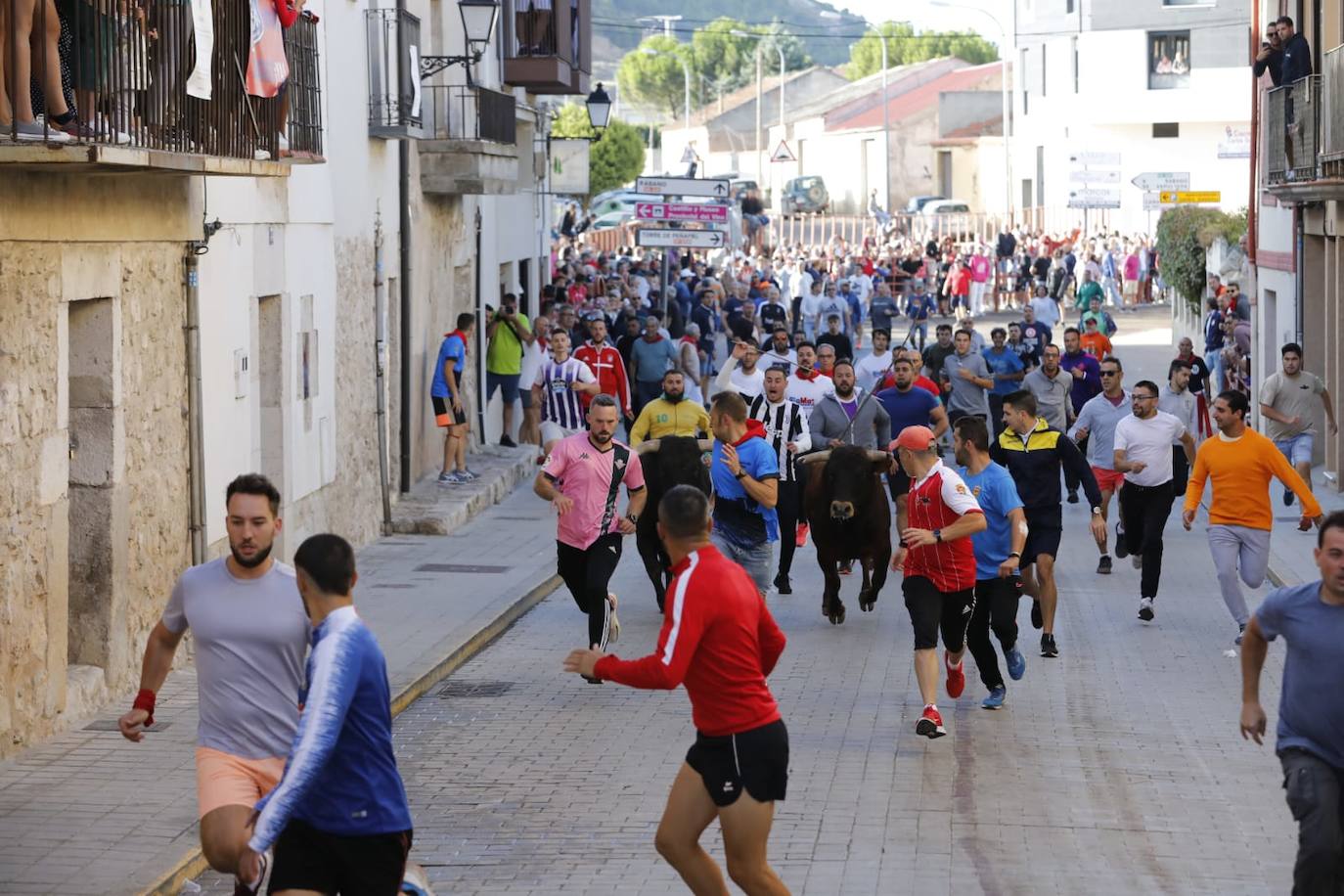 Fotos: Cuarto y último encierro de las fiestas de Peñafiel