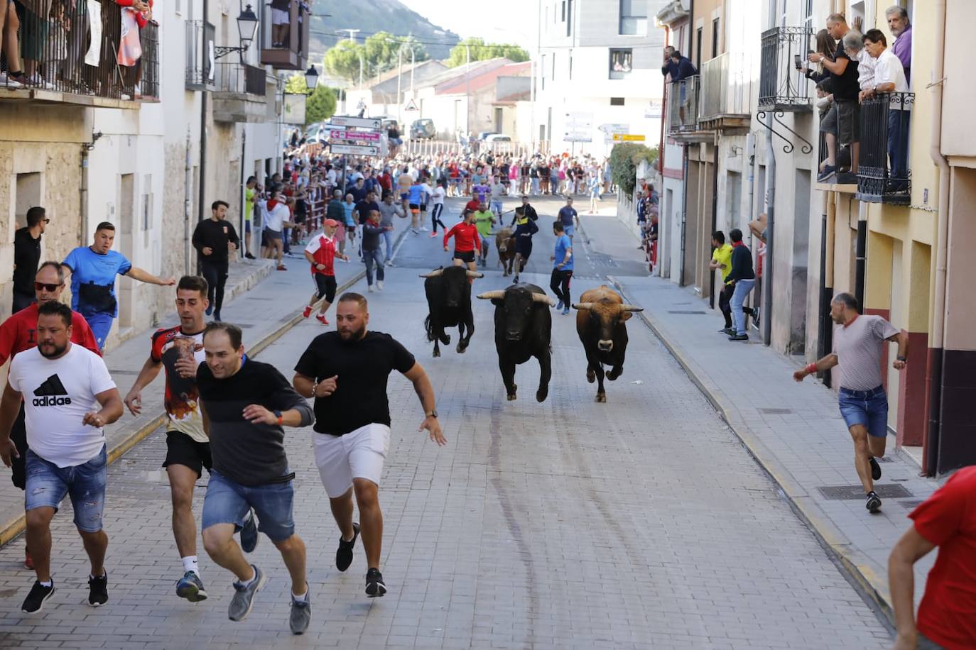 Fotos: Cuarto y último encierro de las fiestas de Peñafiel