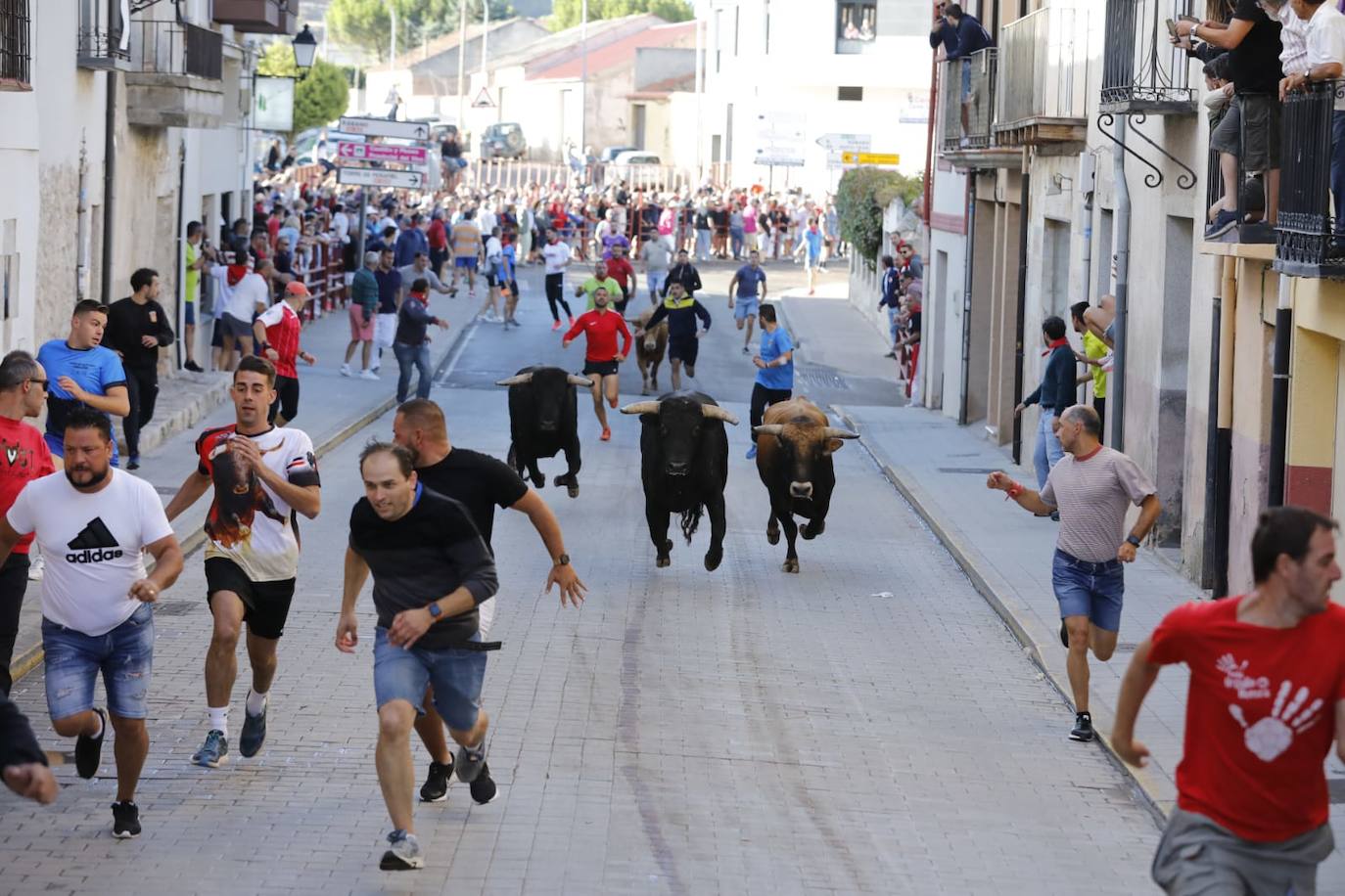 Fotos: Cuarto y último encierro de las fiestas de Peñafiel