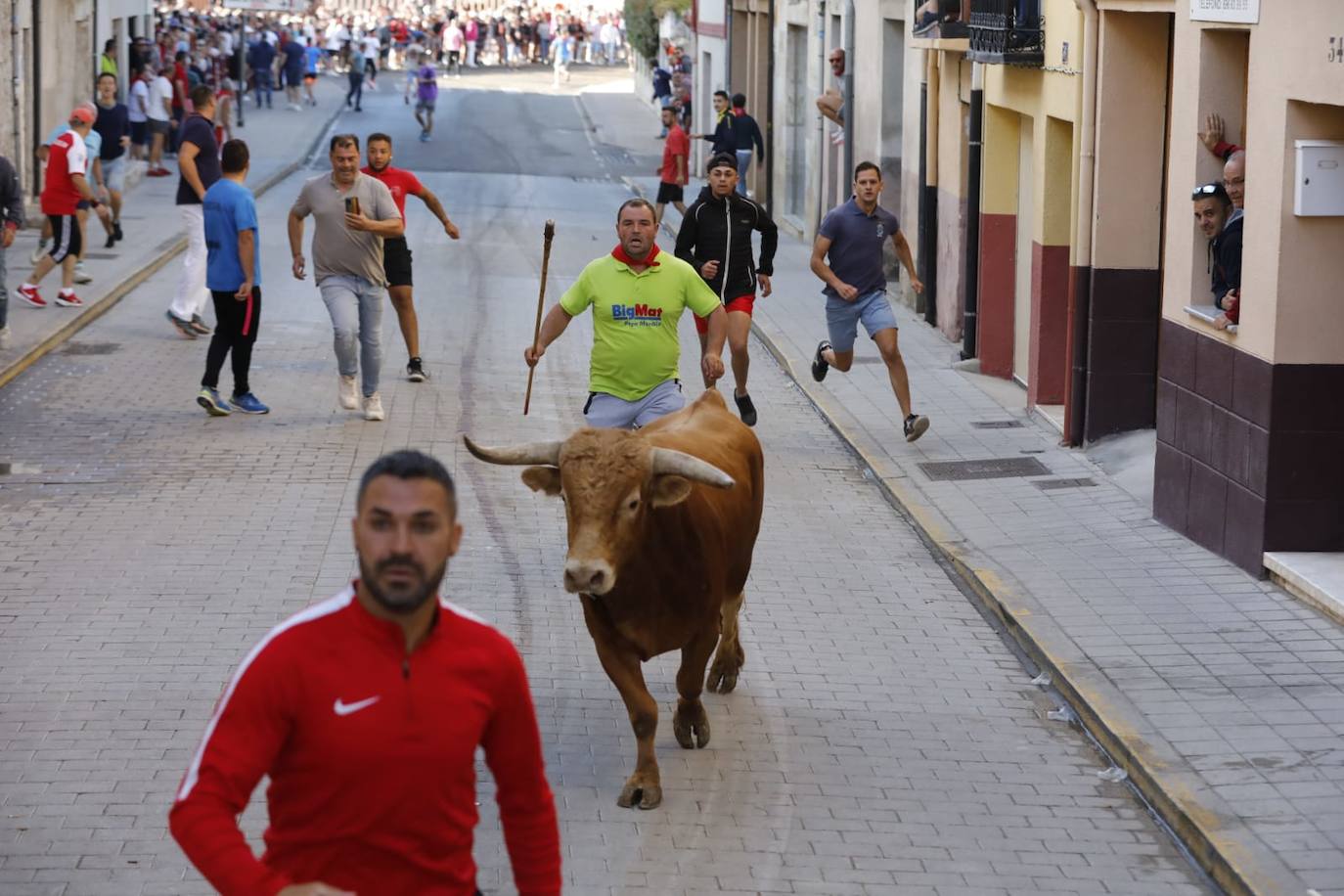 Fotos: Cuarto y último encierro de las fiestas de Peñafiel