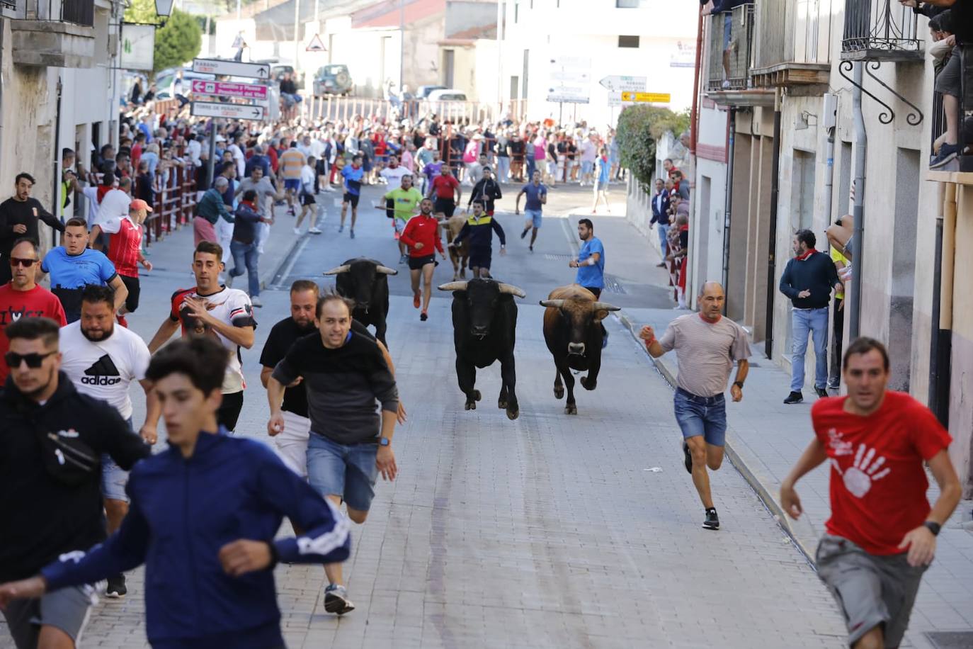 Fotos: Cuarto y último encierro de las fiestas de Peñafiel