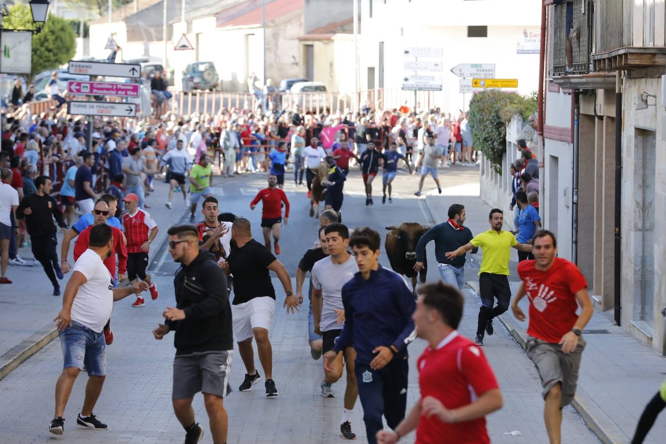 Fotos: Cuarto y último encierro de las fiestas de Peñafiel