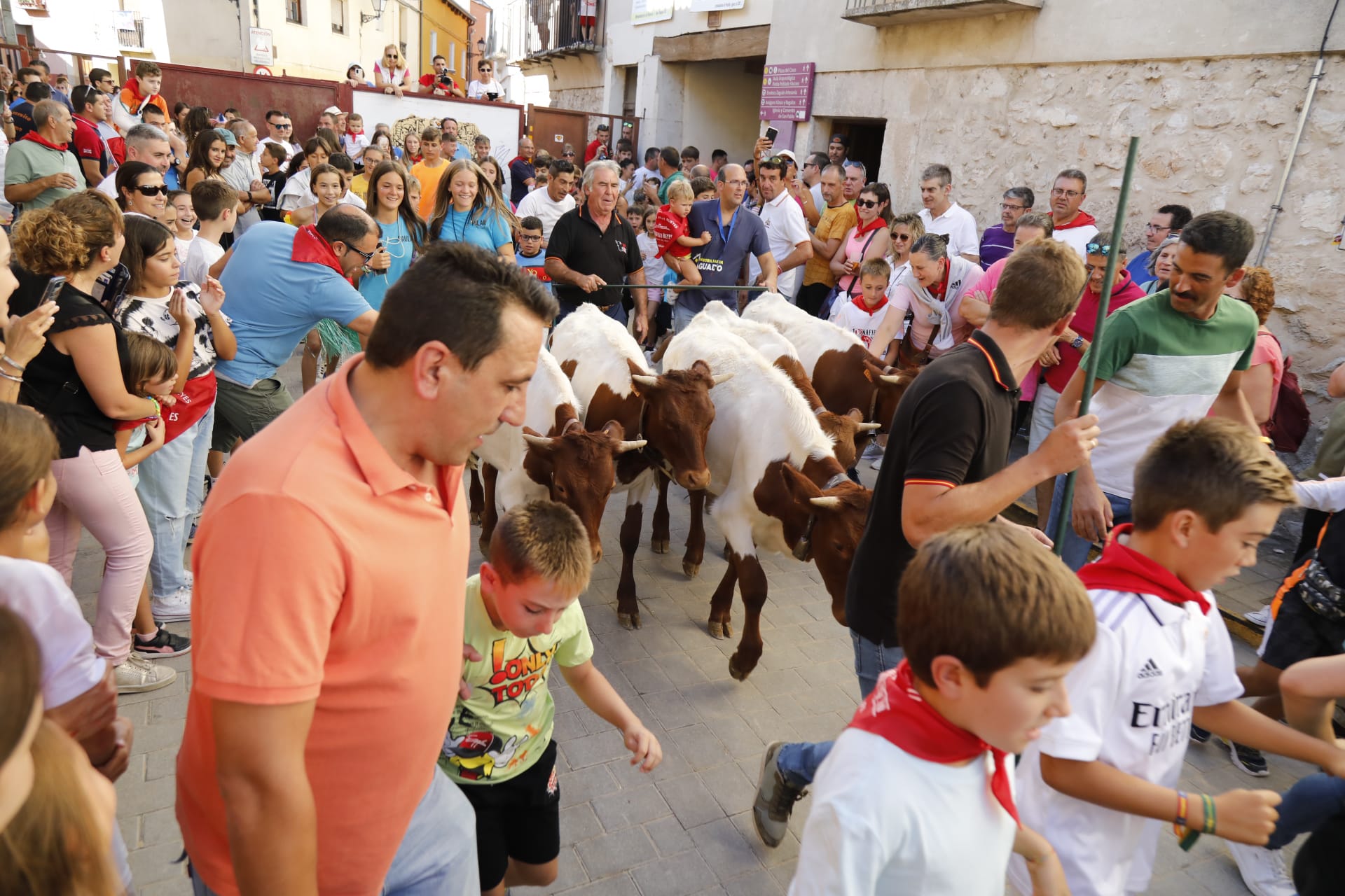 Fotos: Última jornada de las fiestas de Peñafiel