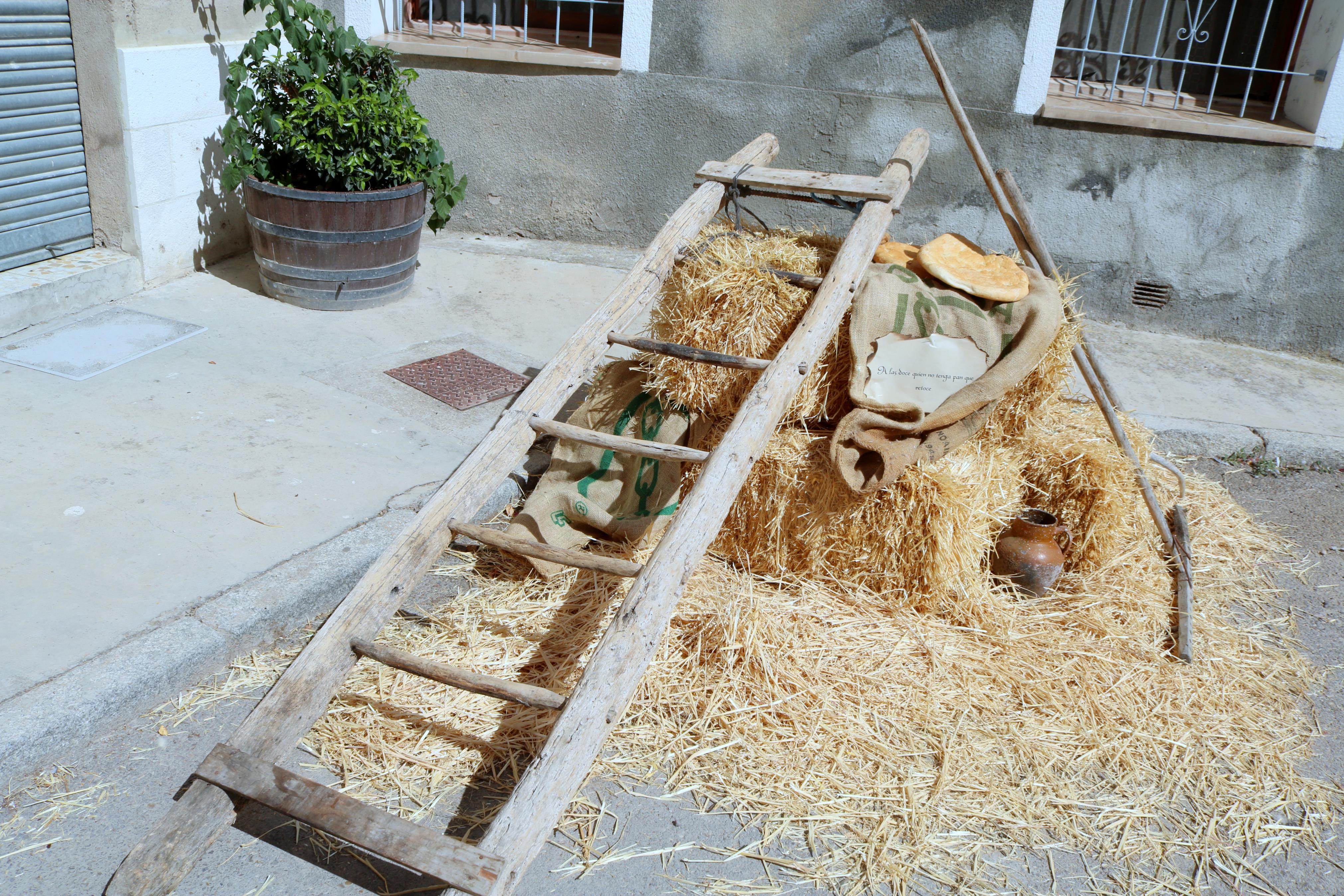 Vecinos y visitantes se volcaron con la Feria del Pan celebrada en Cobos de Cerrato