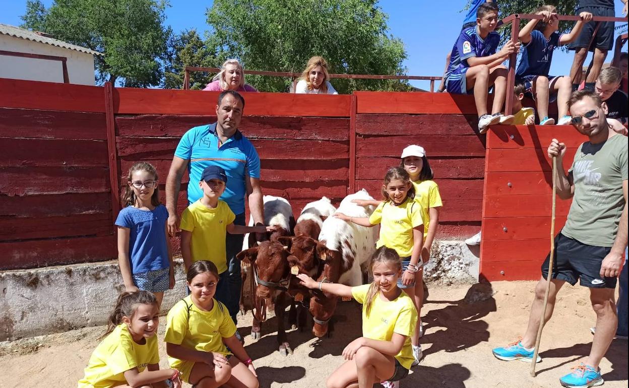 Algunos niños disfrutando con los minibueyes en la Plaza de Toros de Torrelobatón 