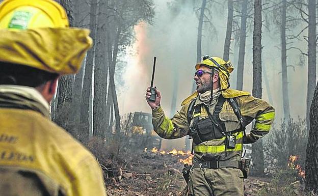 Castilla y León concentra casi el 40% de la superficie quemada en España este año