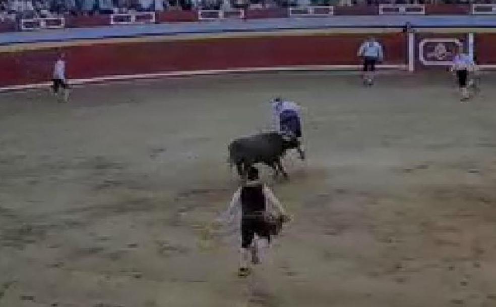 Vídeo: un cortador vallisoletano sufre una cornada de diez centímetros en el concurso de Pedrajas