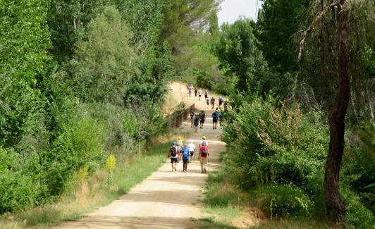 Paraje natural segoviano en pleno recorrido.