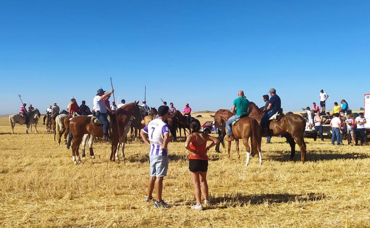 Decenas de caballistas tomaron parte en el encierro por el campo. 