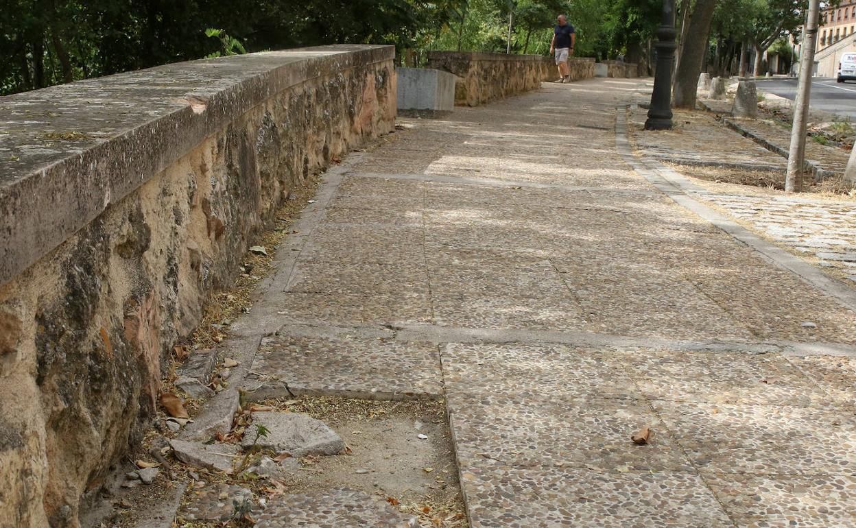 Aceras del paseo de Santo Domingo de Guzmán. 