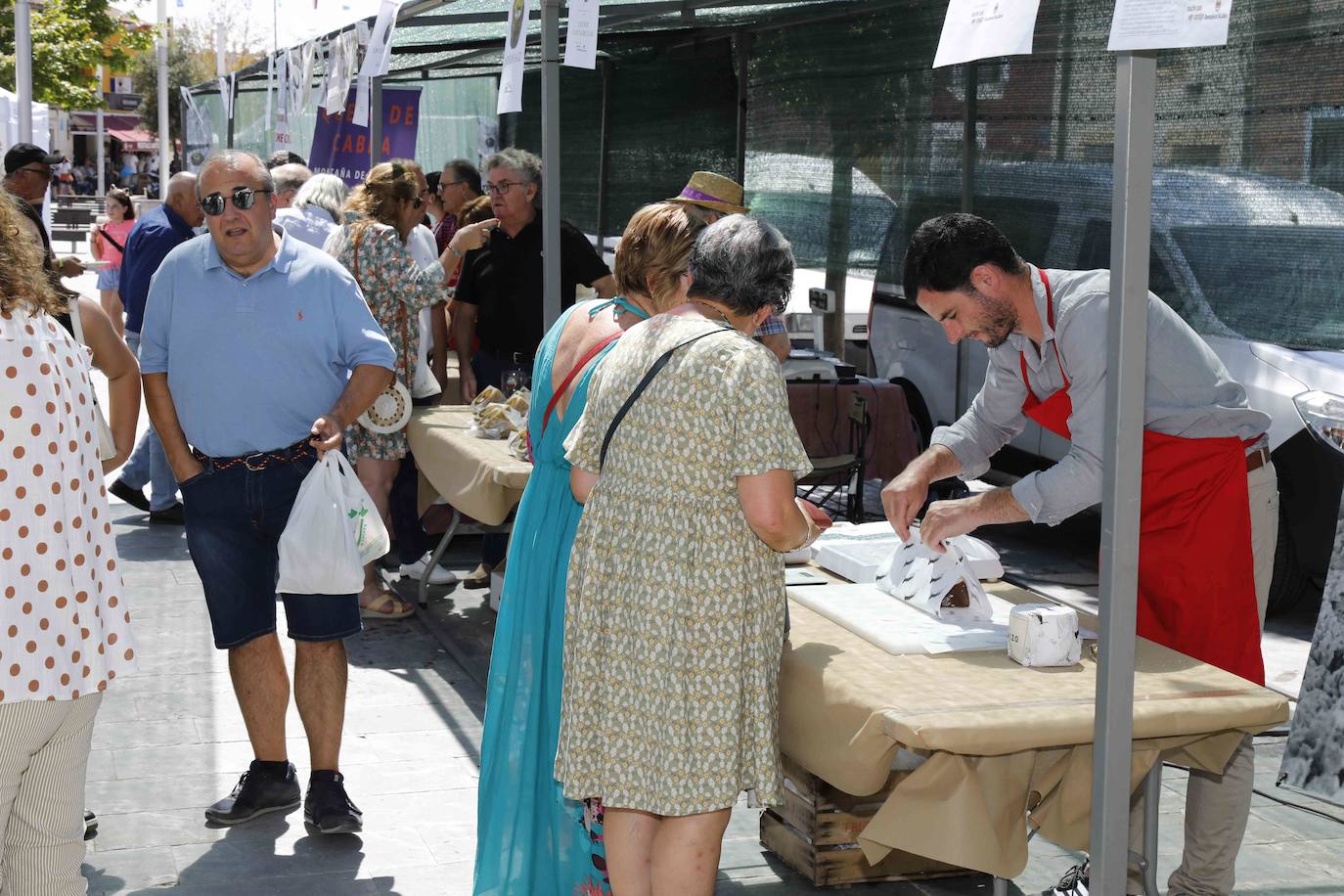 Fotos: Feria del Queso en Sardón de Duero, Valladolid