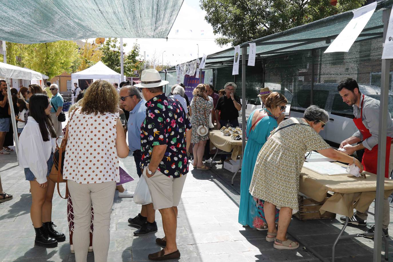 Fotos: Feria del Queso en Sardón de Duero, Valladolid