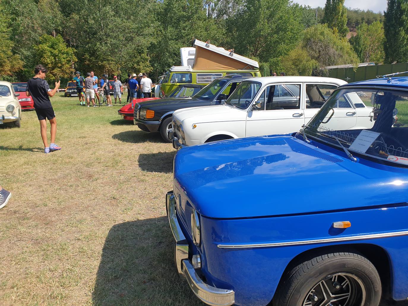 Fotos: Los coches clásicos invaden Alar del Rey