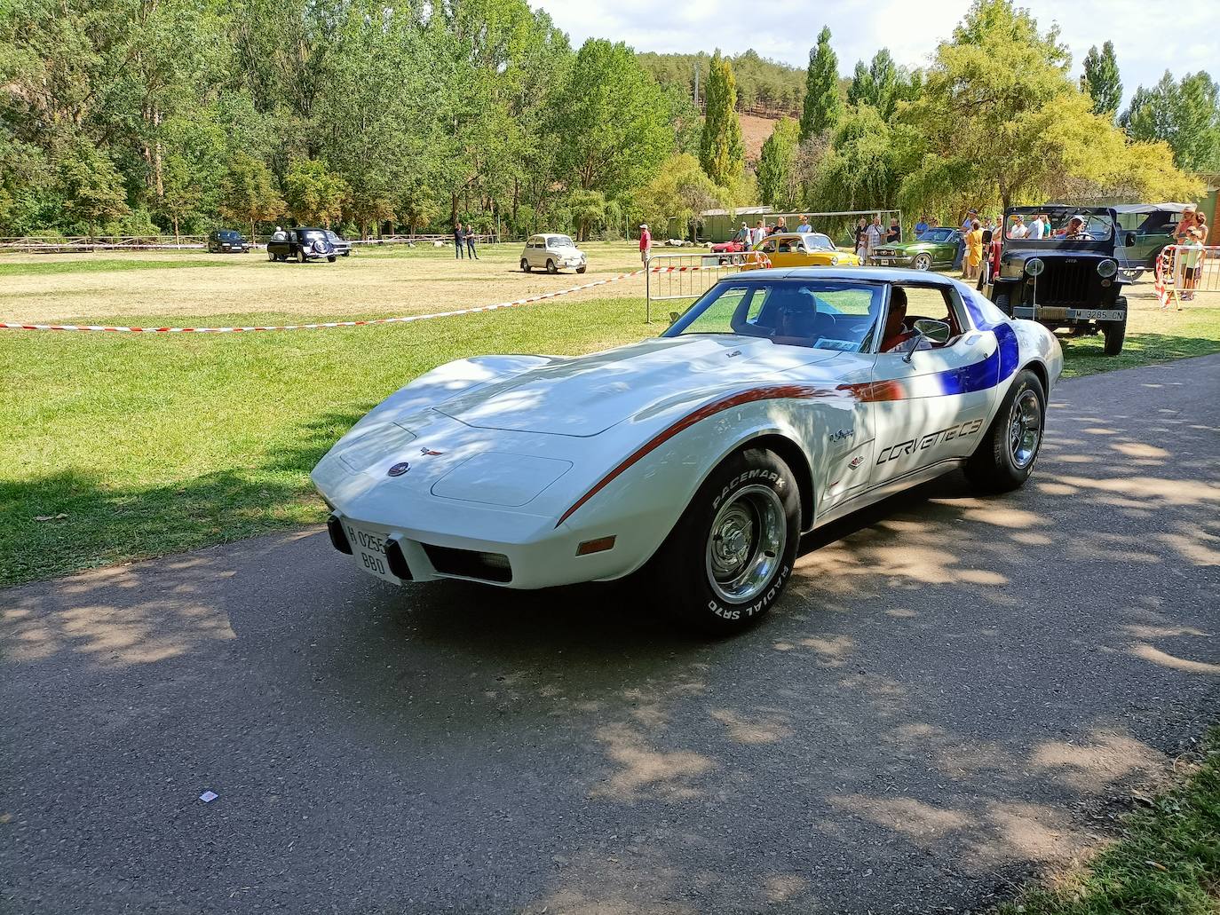 Fotos: Los coches clásicos invaden Alar del Rey