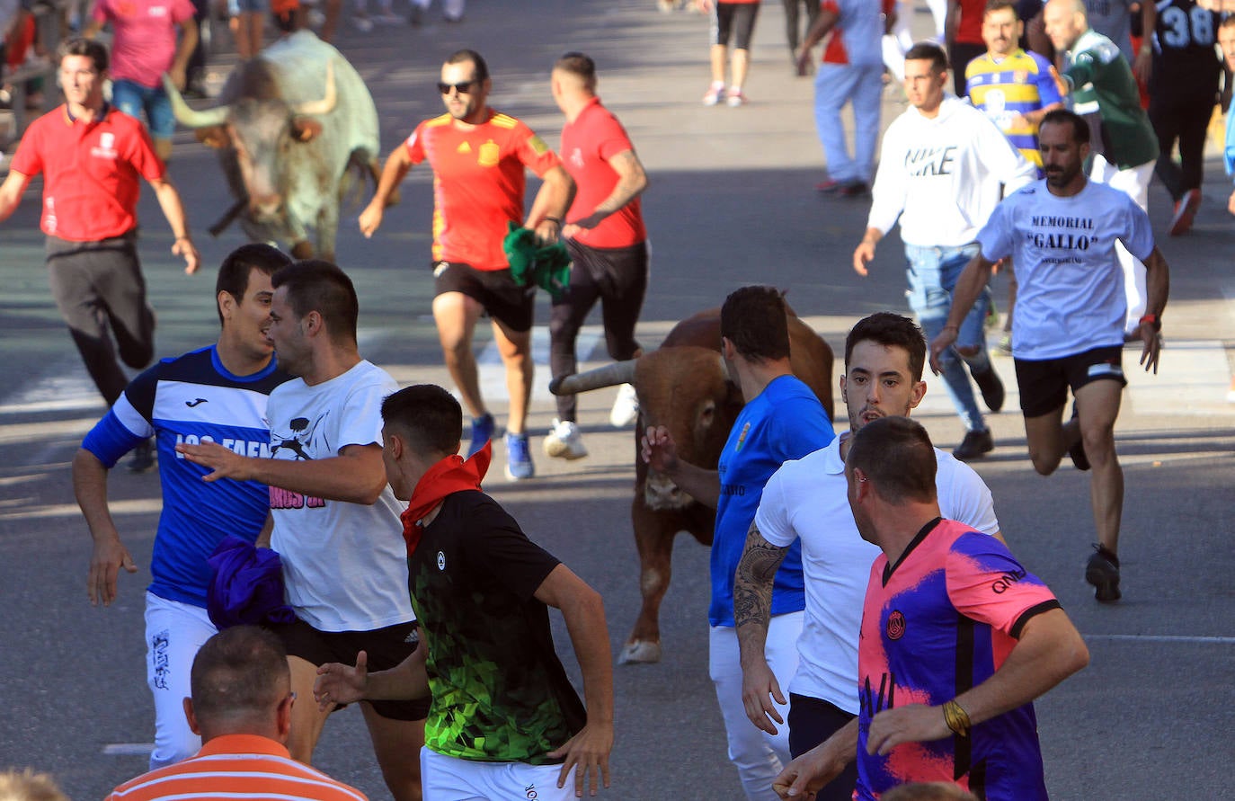 Encierro por las calles de Cuéllar.