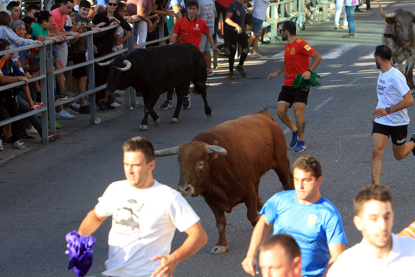 Encierro por las calles de Cuéllar.