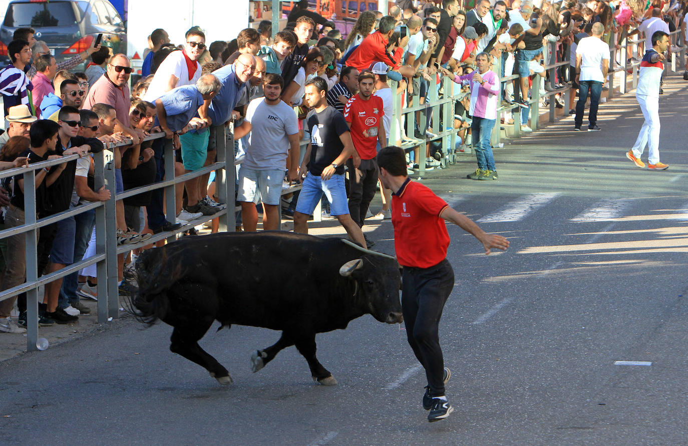 Encierro por las calles de Cuéllar.