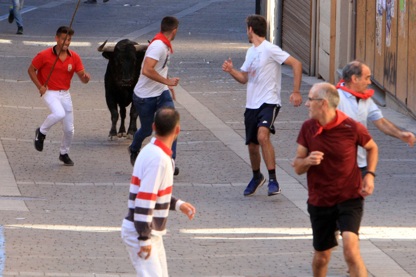 Encierro del martes en las fiestas de Cuéllar.