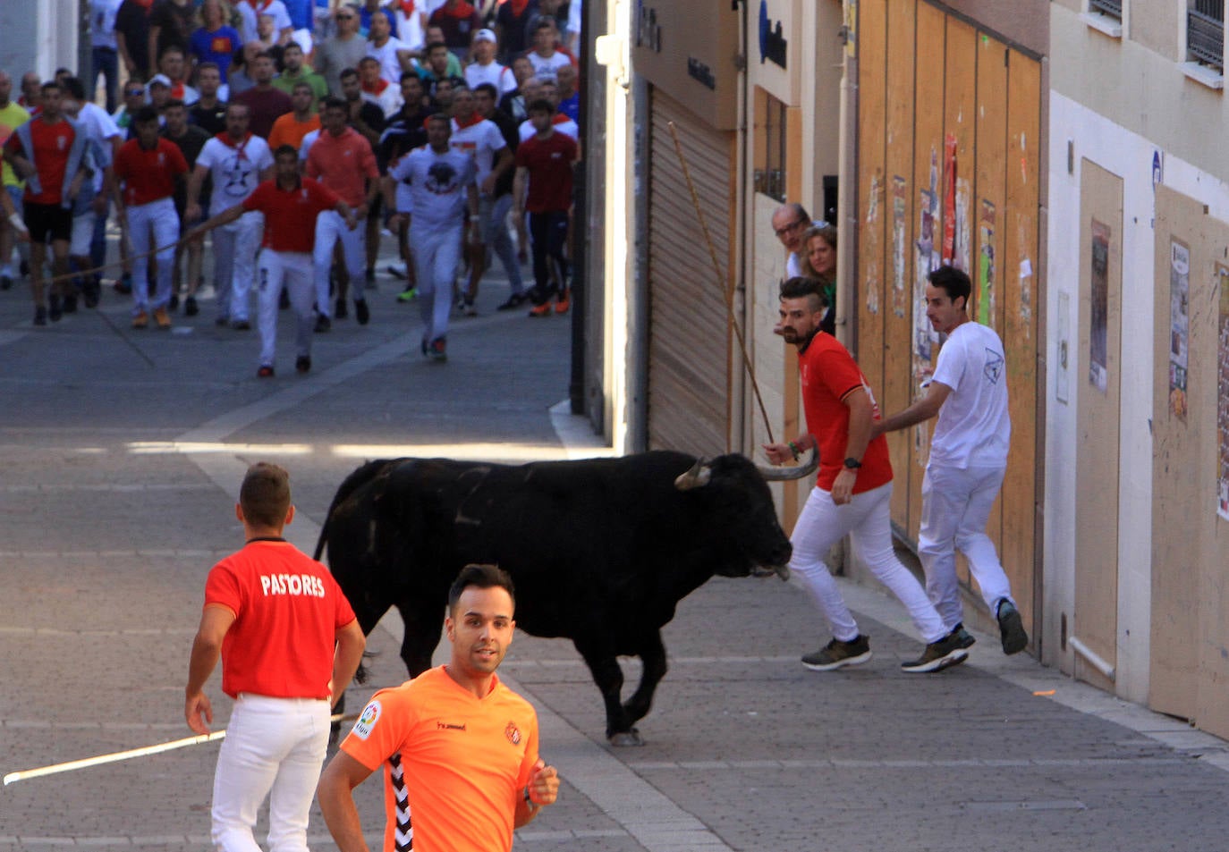 Encierro del martes en las fiestas de Cuéllar.