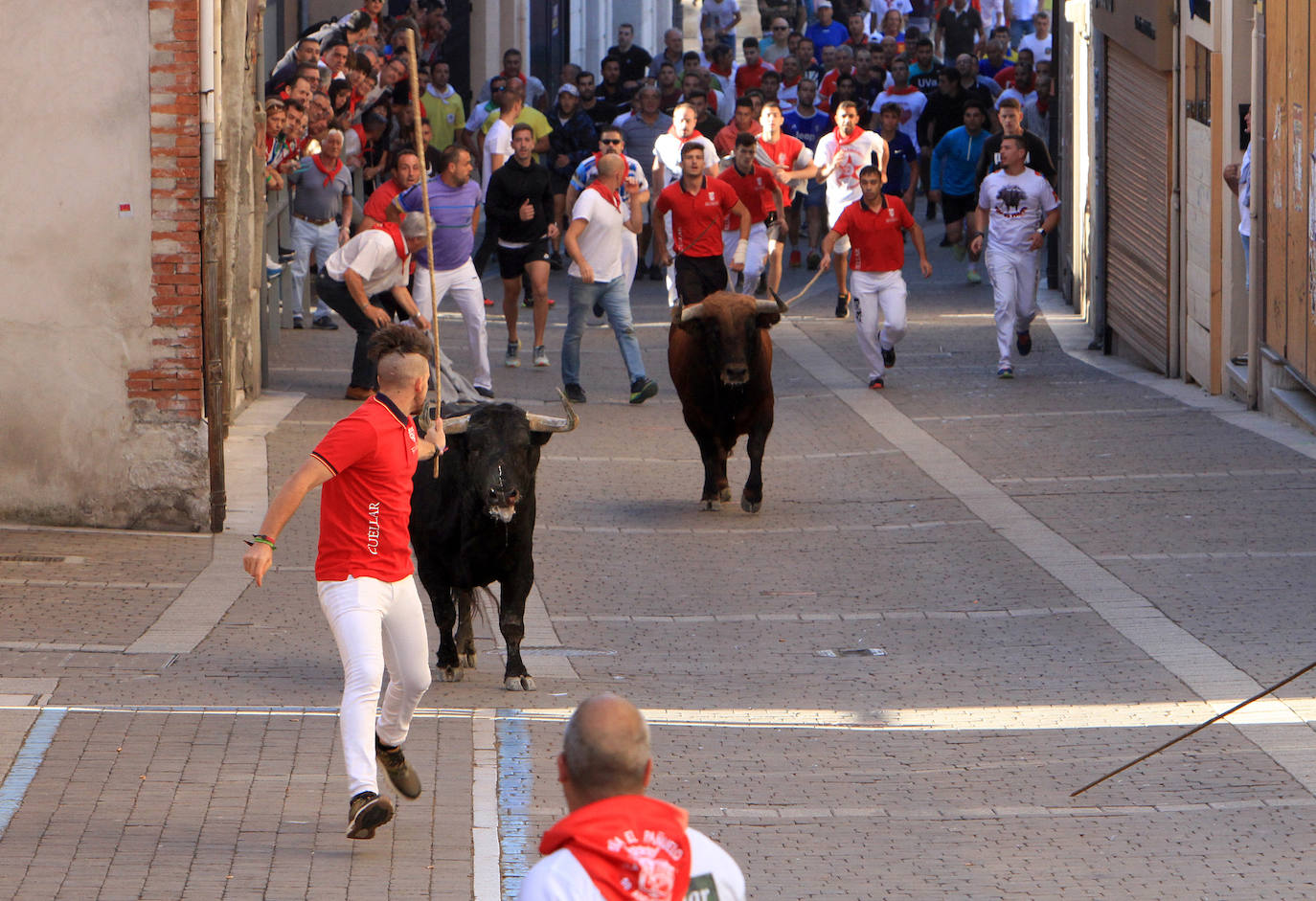 Encierro del martes en las fiestas de Cuéllar.