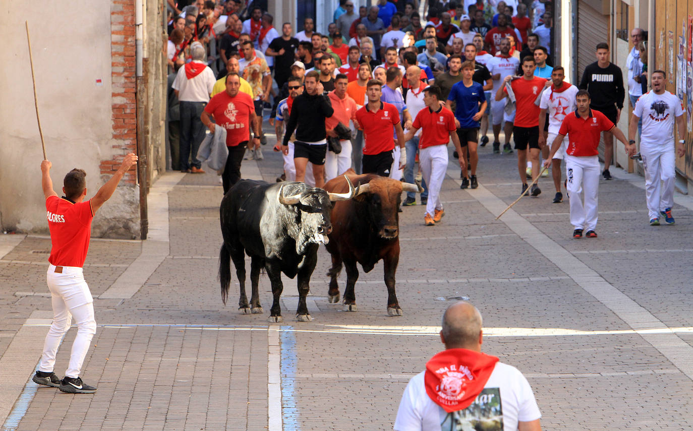 Encierro del martes en las fiestas de Cuéllar.