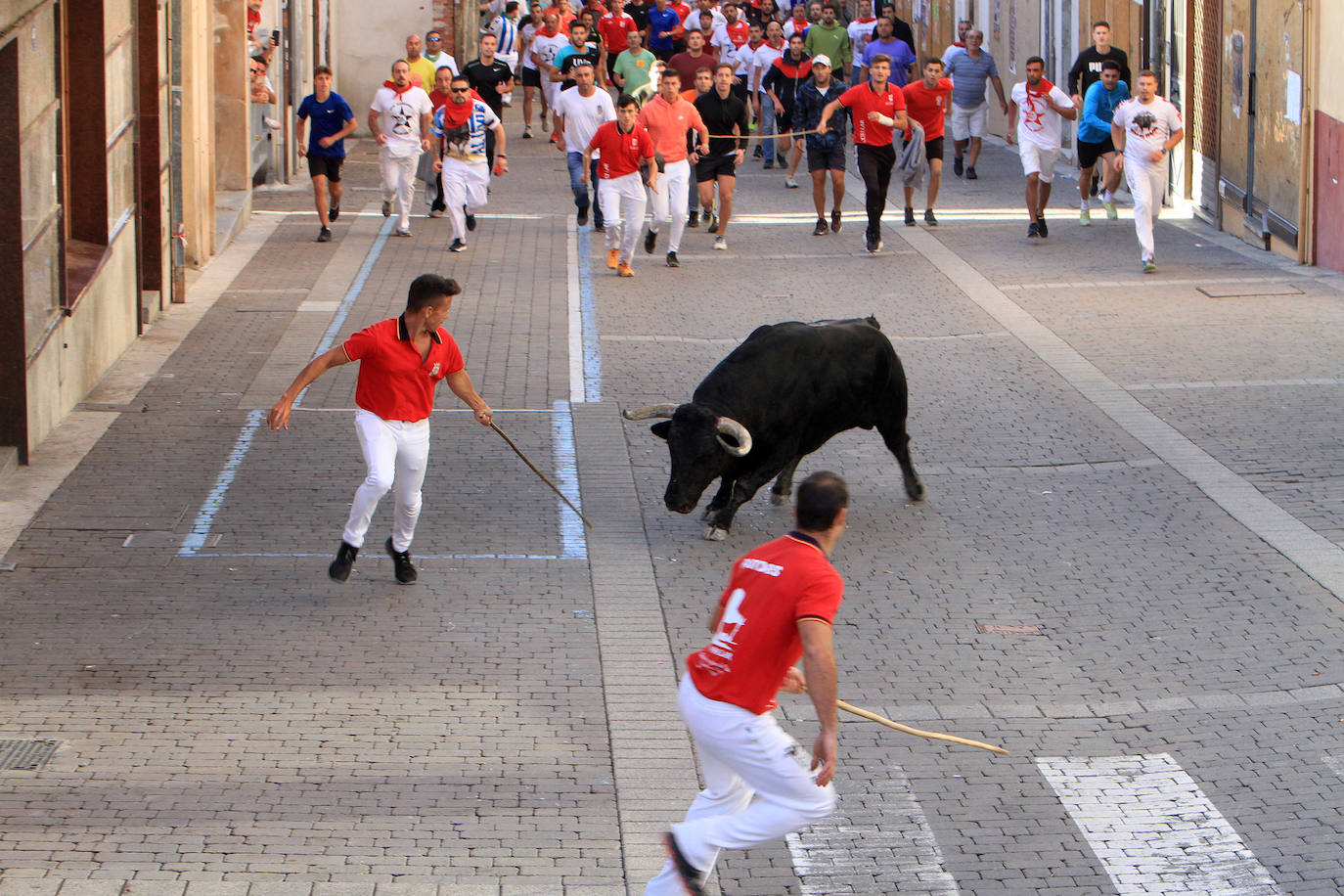 Galería. Tercer encierro de Cuéllar.