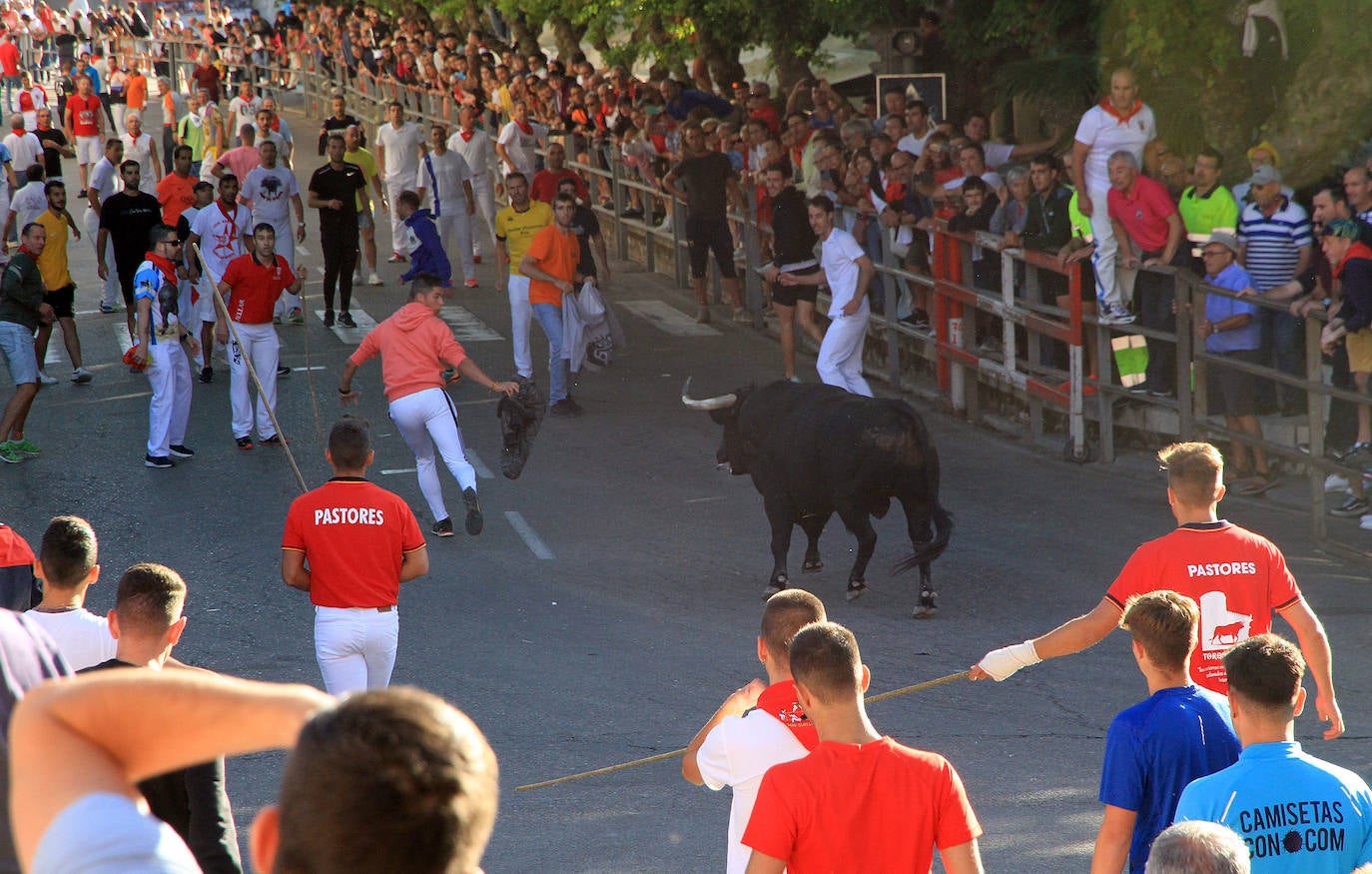 Encierro del martes en las fiestas de Cuéllar.