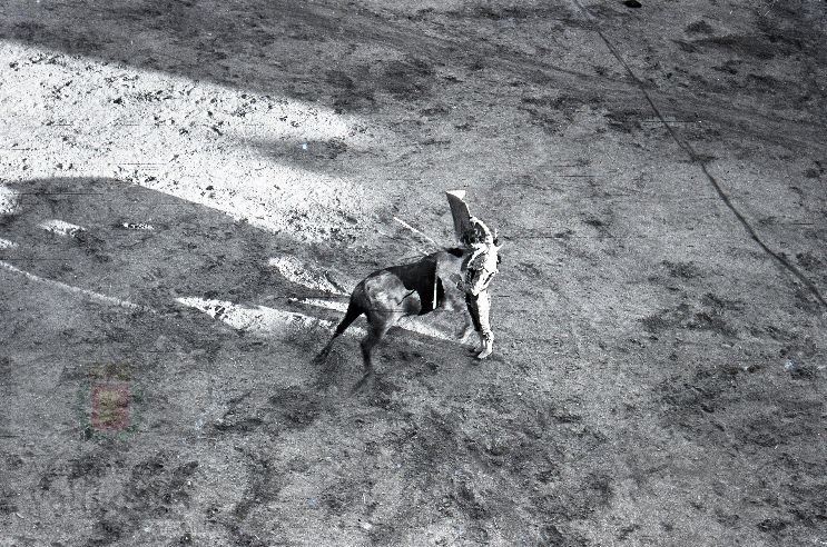 Fotos: Los festejos taurinos de Peñafiel en los años 60