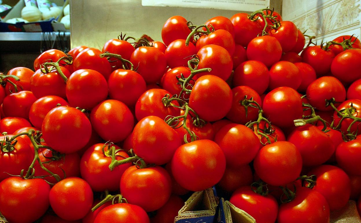 Tomates, en una imagen de archivo 