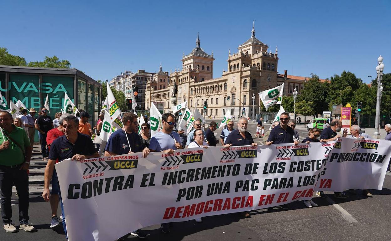 Manifestación esta mañana en la Plaza de Zorrilla en Valladolid. 