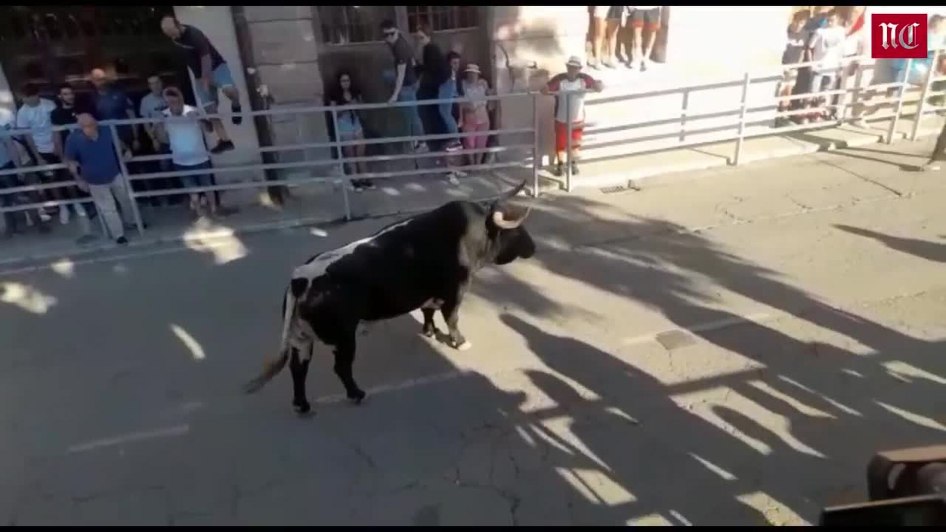 Susto en el cuarto encierro de las fiestas de Cuéllar
