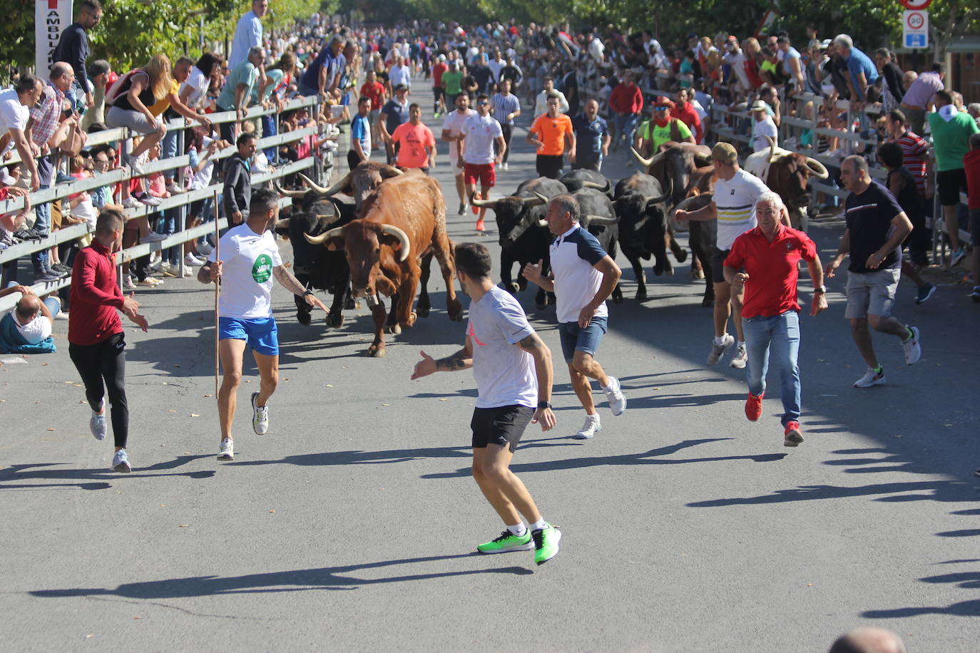 Fotos: Primer encierro de las Fiestas de Medina del Campo (2/2)