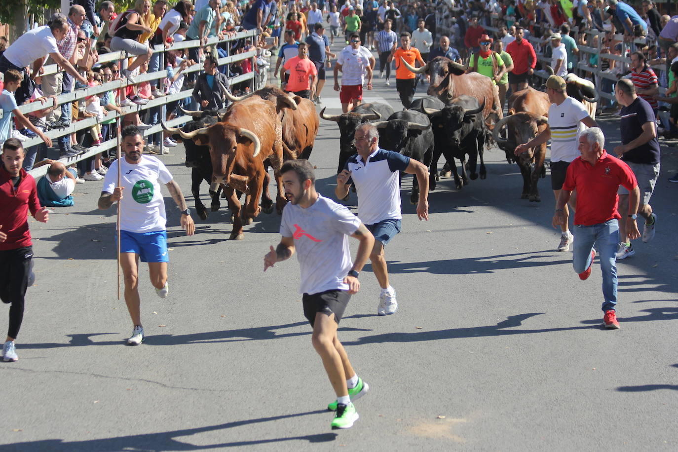 Fotos: Primer encierro de las Fiestas de Medina del Campo (2/2)